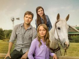 Heartland Season 12 & Season 13 on Netflix