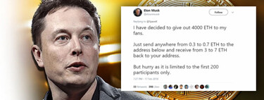How to lose € 450,000 following the advice of "Elon Musk": the rise of Bitcoin scams