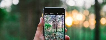 Six essential tips to take good photos with our iPhone