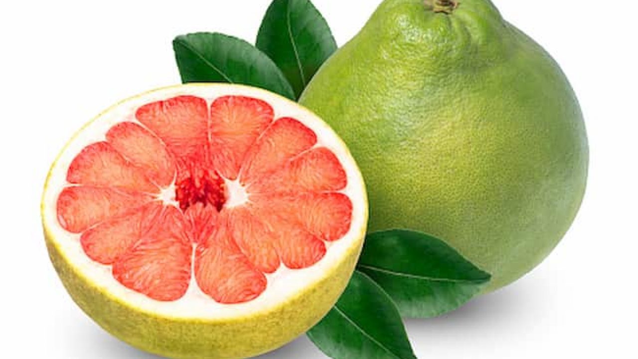 Pomelo fruit